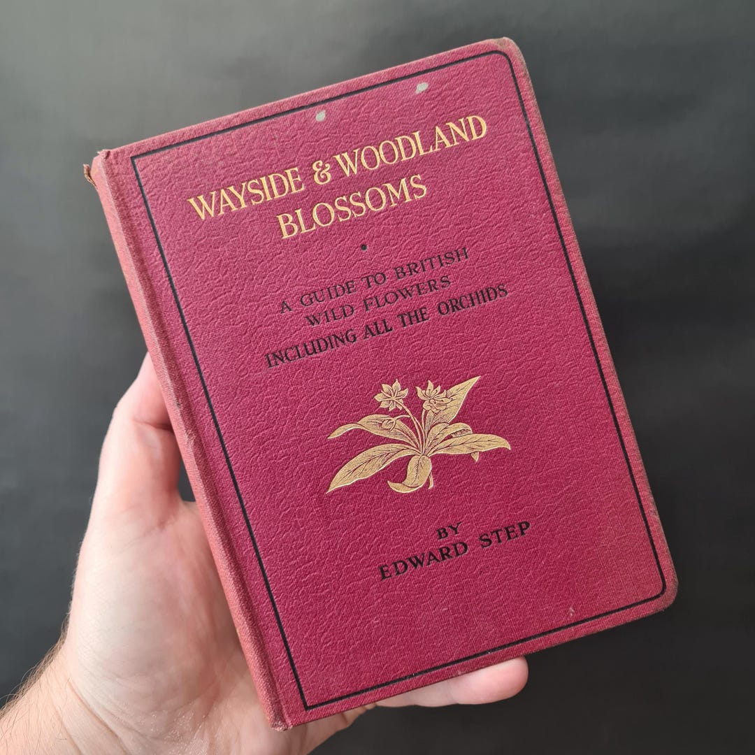 Wayside & Woodland Blossoms Series Three by Edward Step , A Guide to ...