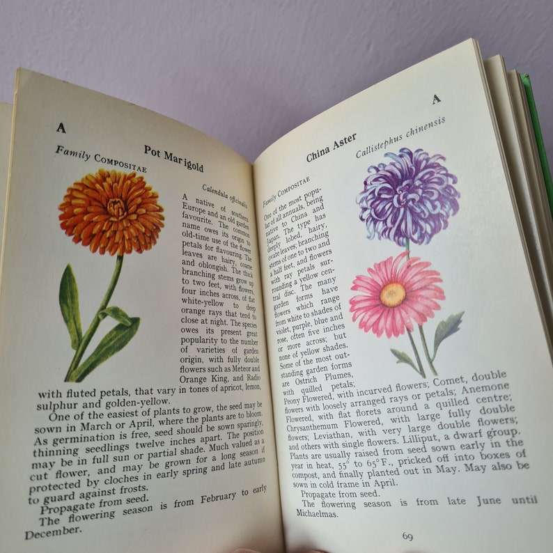 VintageObfängerbücher Perfekt für farbenfrohe Bücherregale, Sammlerbeobachterbücher Wählen Sie Ihren Titel Bild 9