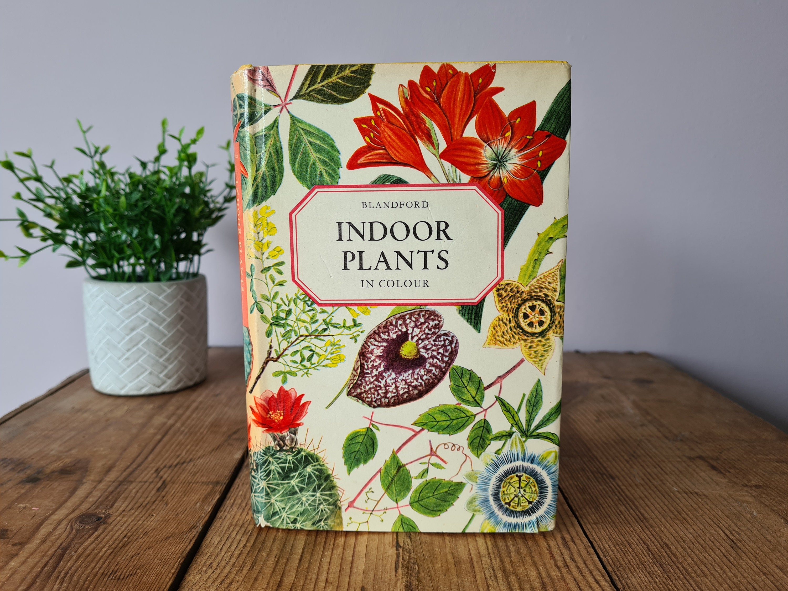 Illustrated Book on Plants image