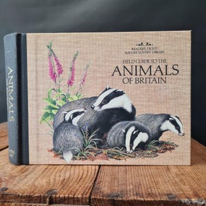 Animals of Britain, Vintage Illustrated Nature Field Guide