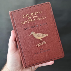 The Birds of the British Isles by T.A. Coward, Vintage Second Series Edition Published by Frederick Warne 1932, Vintage Bird Book