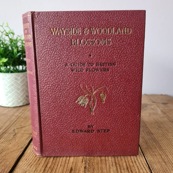 Wayside & Woodland Blossoms Een gids voor Britse wilde bloemen tweede serie door Edward Step, Vintage Nature Woodland Wild Flowers Book