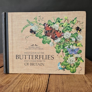 Butterflies and Other Insects of Britain, Vintage Illustrated Nature Field Guide Book, Vintage Butterfly Book