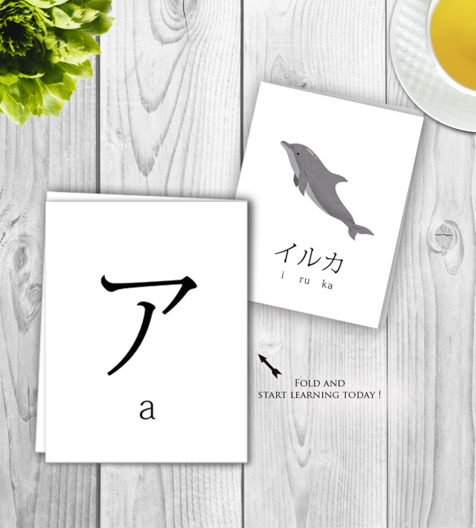 Japanese Character Katakana Flash Card, Learn Japanese for Beginner