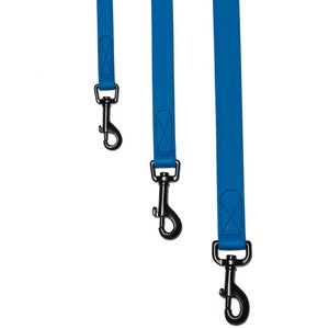 Blue Waterproof Dog Leash by PawsWild - Small, Medium, Large