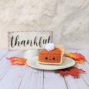 HAAKPATROON: Pompoentaart Play Food, Thanksgiving Amigurumi downloadbaar PDF-patroon, herfstdecor haakpatroon, schattige Kawaii pluche afbeelding 5