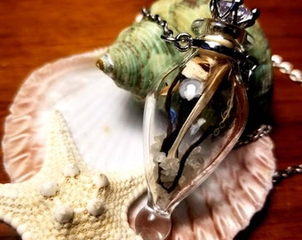 May include: A clear glass bottle pendant necklace with a silver crown top. The bottle is filled with white sand, a small seashell, and a piece of dried seaweed. The necklace is displayed on a seashell and a starfish.