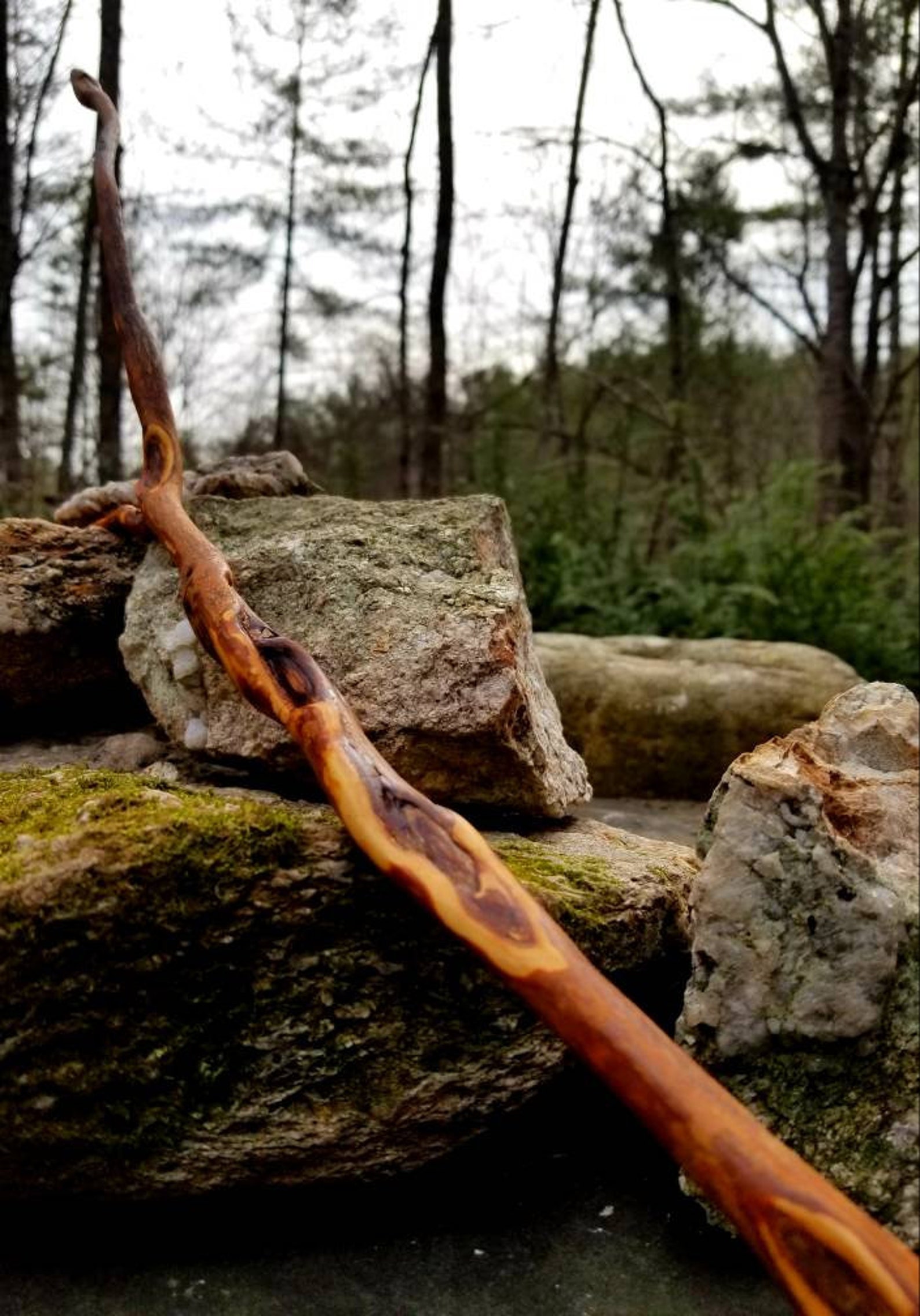 Appalachian Alchemy Witching/Dowsing Rod with Archer's Oil Etsy