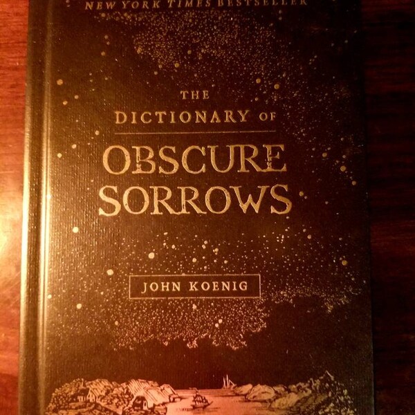 The Dictionary of Obscure Sorrows, Koenig