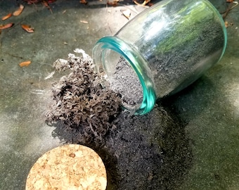 Bog Oak Dust