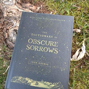 The Dictionary of Obscure Sorrows, Koenig