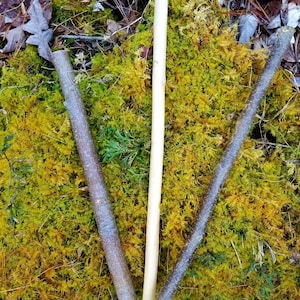 Druidic Wand Wood, Set of Three