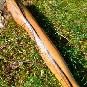 May include: A wooden walking stick with a natural wood grain pattern. The stick has a dark, contrasting stripe running down its length. The wood is a warm brown color, and the stick appears to be smooth and polished.