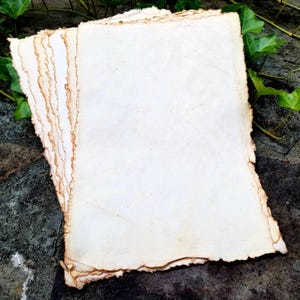 Handmade Parchment, Nine Sheets