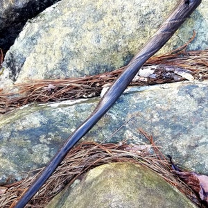 以下が含まれることがあります： 滑らかでわずかに湾曲した表面を持つ、濃い茶色の木製の杖。杖の上部に小さな穴が開いています。