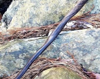 Moldavite Core, Ukrainian Bog Oak Wand