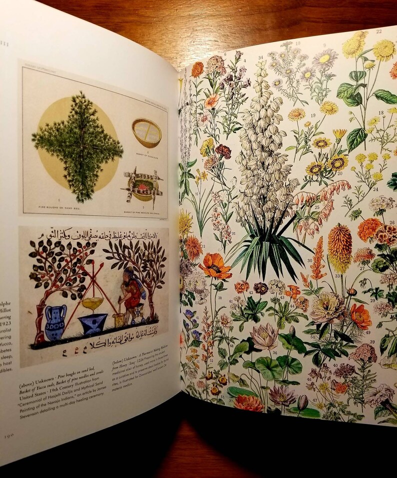 Library of Esoterica Plant Magick - Etsy