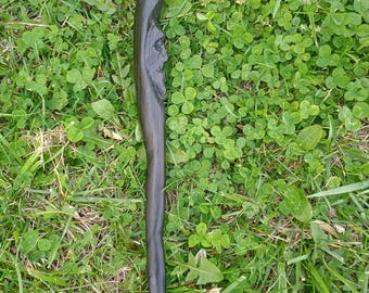Crone's Wand, 5000 Year Irish Bog Oak