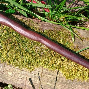 May include: A handcrafted, dark brown wooden wand with a smooth, polished finish. The wand is lying on a bed of green moss and a weathered wooden surface, with blades of grass in the background. The wand's design is simple and elegant.