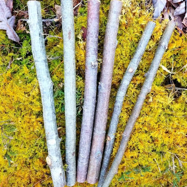 Irish Rowan Branch