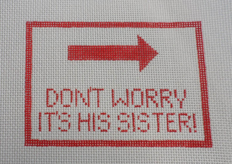 Handpainted Needlepoint Canvas Schitt/'s Creek Don/'t Worry It/'s His Sister Sign 18m