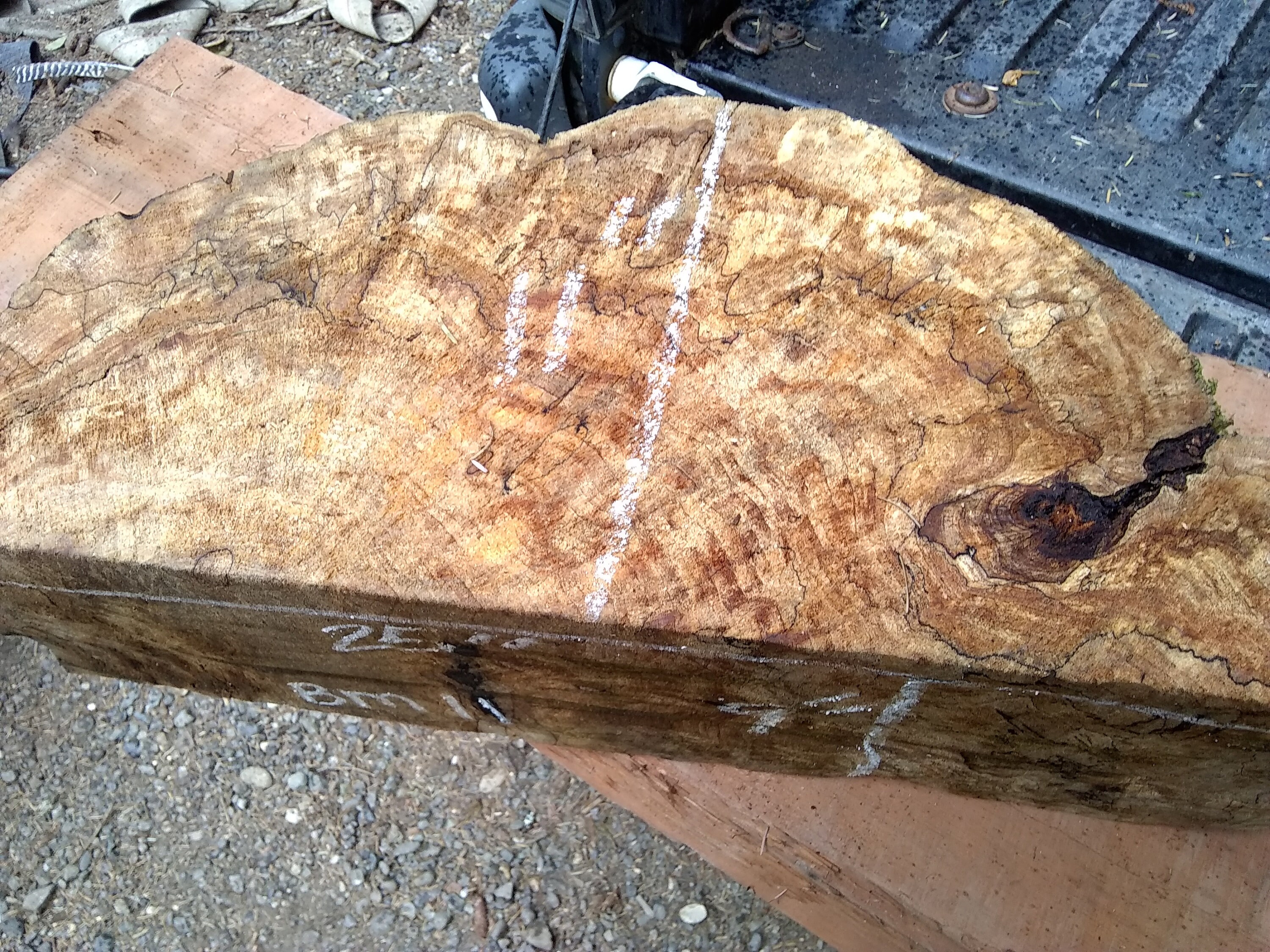 big leaf maple wood for sale big leaf maple wood for sale