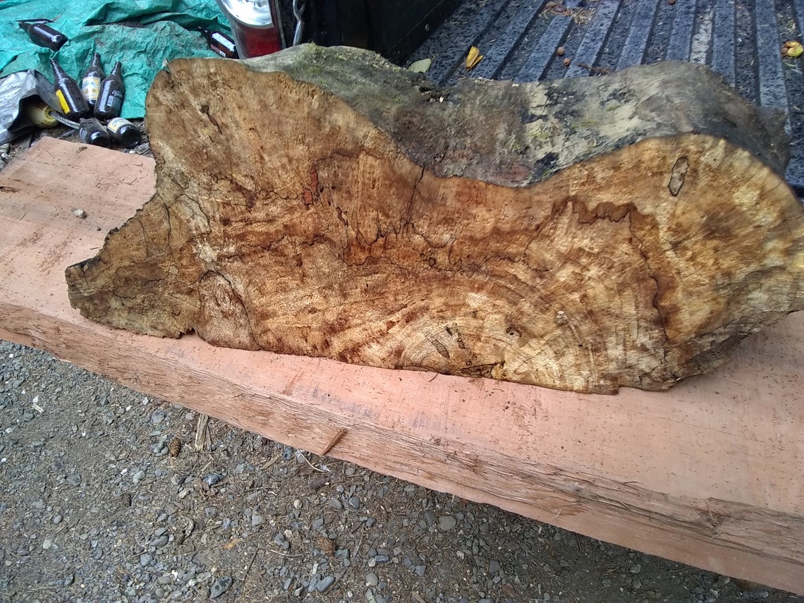 Big Leaf Maple Wood Burl Live Edge Old Growth High Figured Etsy