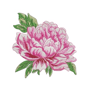 Digital, Peony, machine embroidery design, peonies, pink, 3 sizes