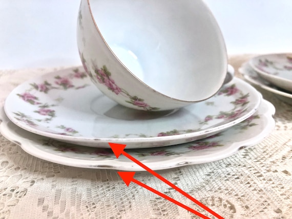 Antique 12 Piece MZ Austria Bridal Rose Porcelain Tea Set / Tea