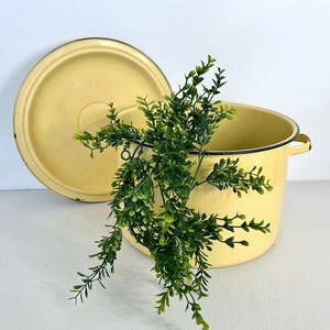 May include: A vintage yellow enamelware pot with a lid, featuring a black rim and handles. The pot is accompanied by a sprig of green foliage, creating a rustic, farmhouse aesthetic. The lid is placed to the side, revealing the pot's interior.