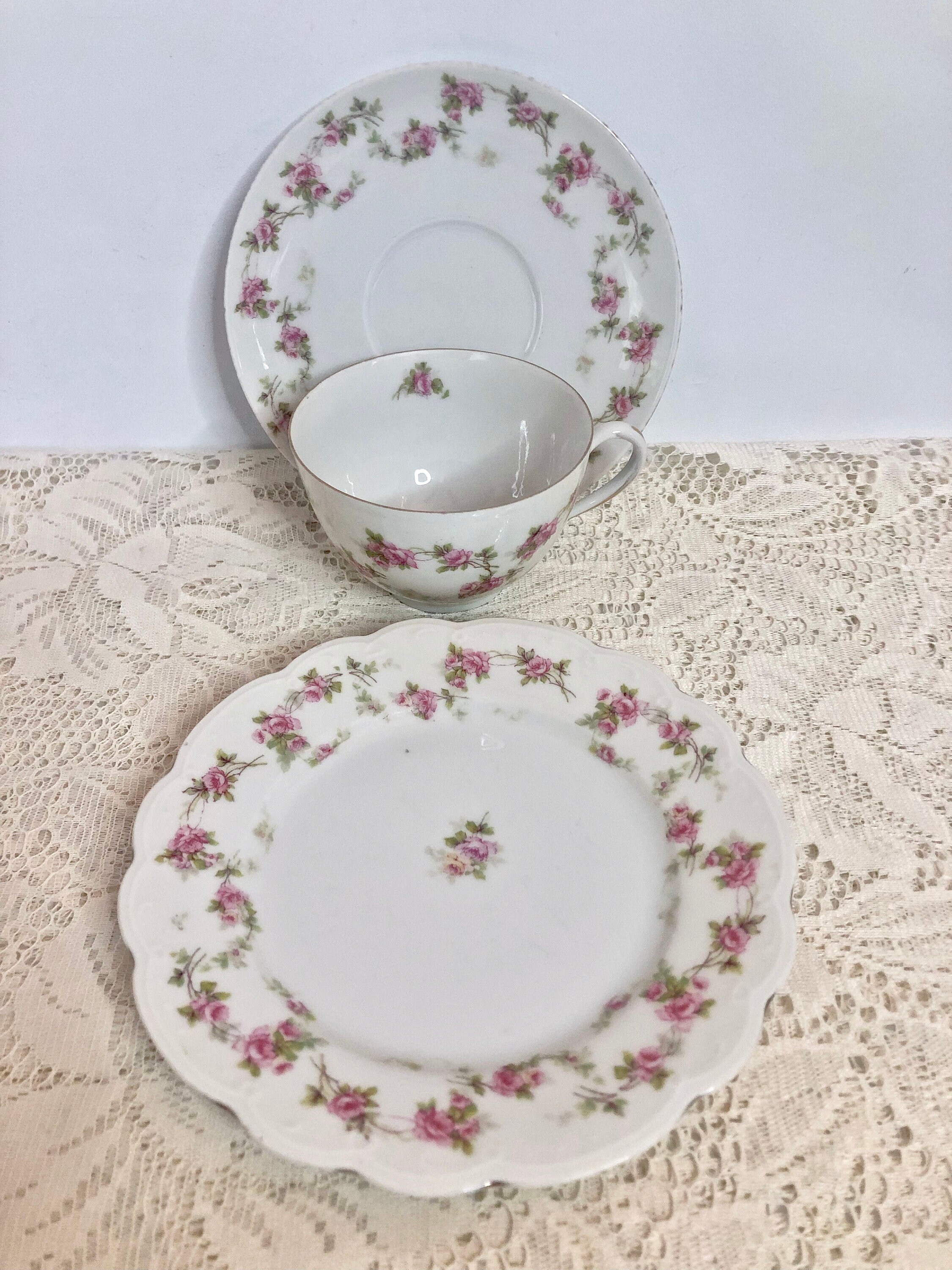 Antique 12 Piece MZ Austria Bridal Rose Porcelain Tea Set / Tea