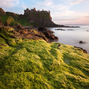 Dunluce Castle Greens