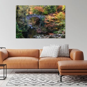 Tollymore Fairytale