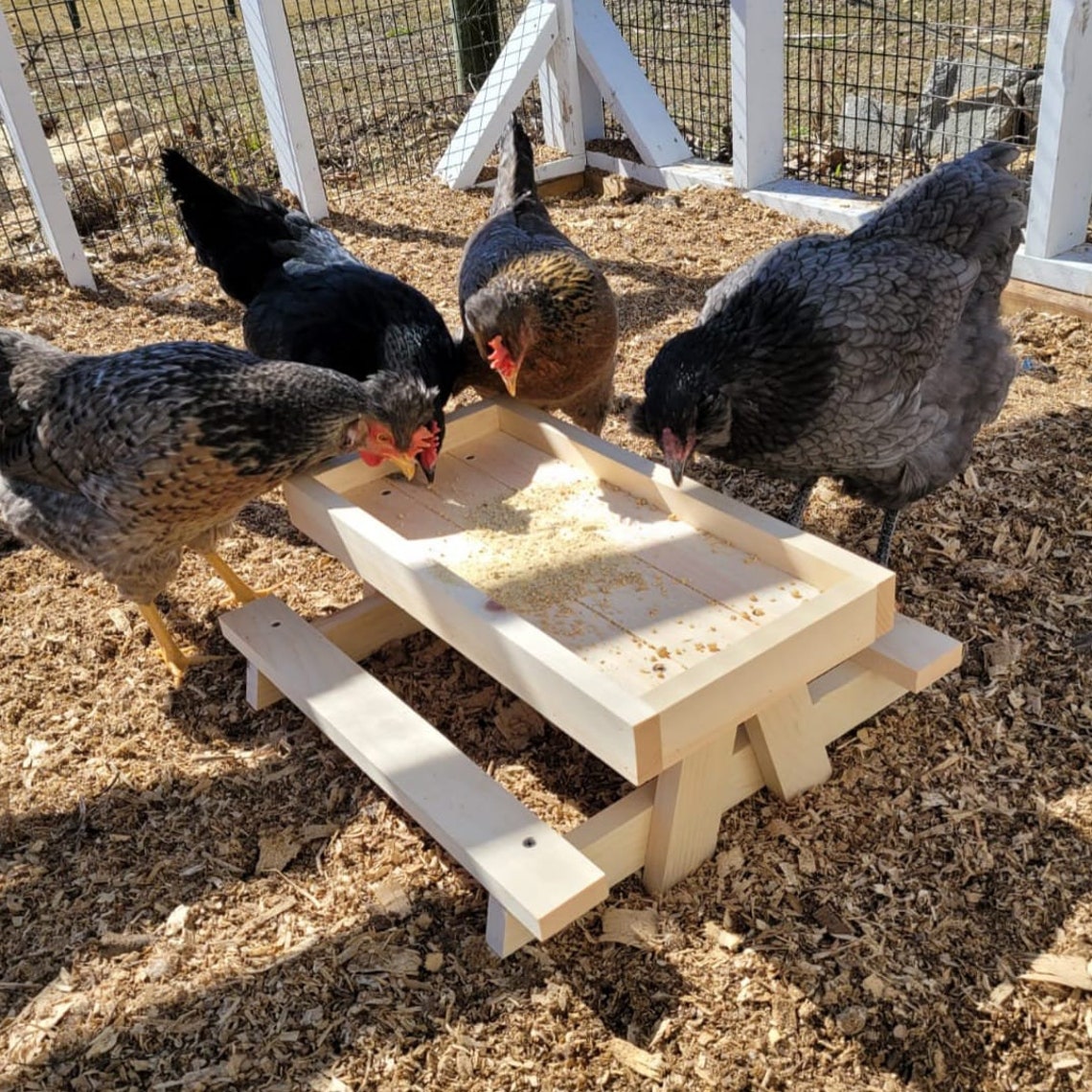 Chicknic Table Chicken Picnic Table Chicken Feeder Etsy