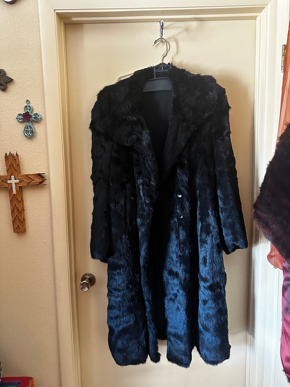 Full Length Shiny Black Fur