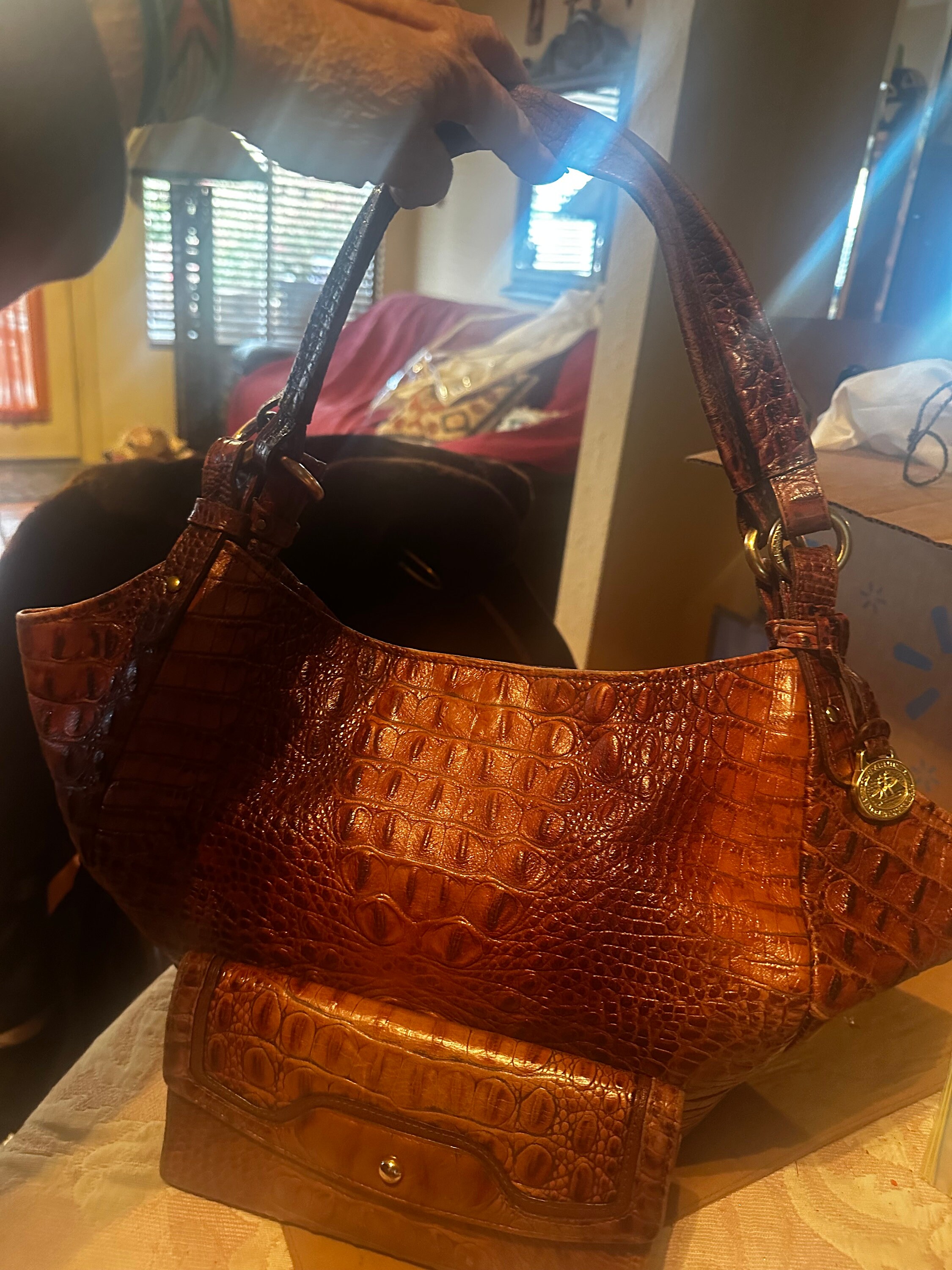 Copacabana reseallable brahmin handbags
