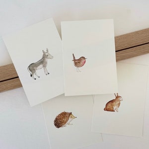 Postkarten Set „4 Tiere“