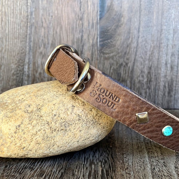 Turquoise Dog Collar - Etsy