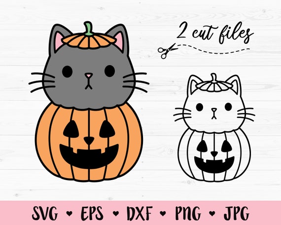 Free Stock Photo of Halloween Cat Icon Means Trick Or Treat And Autumn