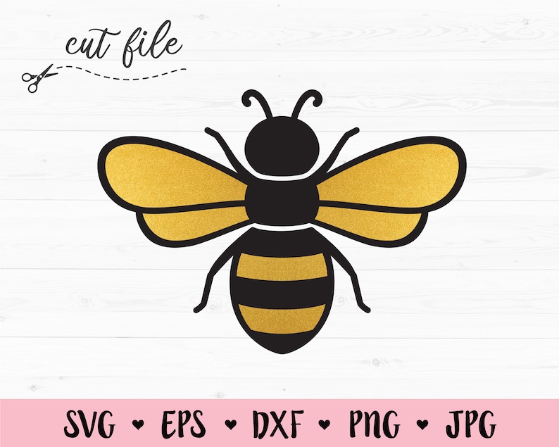 Download Bee SVG cut file Bumble bee cutting file Cute Honey bee ...