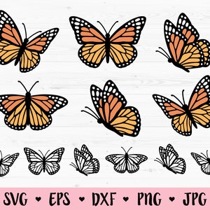 Butterfly SVG Bundle 12 fichiers coupés superposés Cute Monarch Butterflies Outline Spring Silhouette Cricut Vinyl Decal Girl Shirt Tumbler Face Mask