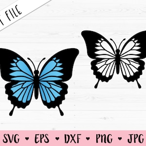 Papillon SVG Bleu clair papillon coupé fichier Monarch Papillons Outline Beautiful Insect Freedom Silhouette Cricut Vinyl Decal Shirt Decor