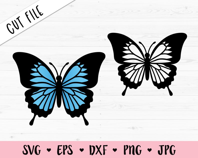 Download Butterfly SVG Light blue butterfly cut file Monarch | Etsy