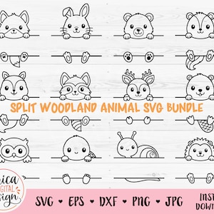 Woodland animal name frame SVG cut file Cricut Silhouette Split monogram Student name tag School Classroom label Kids Baby Teacher Fall