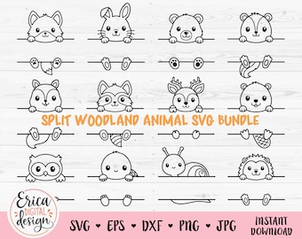 Woodland animal name frame SVG cut file Cricut Silhouette Split monogram Student name tag School Classroom label Kids Baby Teacher Fall
