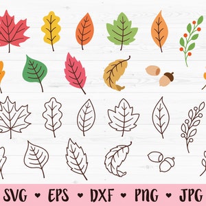 Hojas de otoño SVG Bundle Otoño hoja cortar archivo octubre Noviembre Acción de Gracias Naturaleza Acorn Hojas Realistas Branch Silhouette Cricut Vinilo Decal