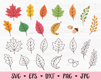 Herbst Blätter SVG Bundle Herbst Blatt geschnitten Datei Oktober November Thanksgiving Natur Eichel realistische Blätter Zweig Silhouette Cricut Vinyl Aufkleber