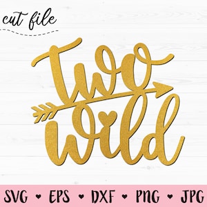 Zwei wilde SVG geschnitten Datei zweiten Geburtstag Kuchen Cupcake Topper schneiden Datei Baby Boy Girl 2. Geburtstag Party Dekor 2 Jahre alt Silhouette Cricut