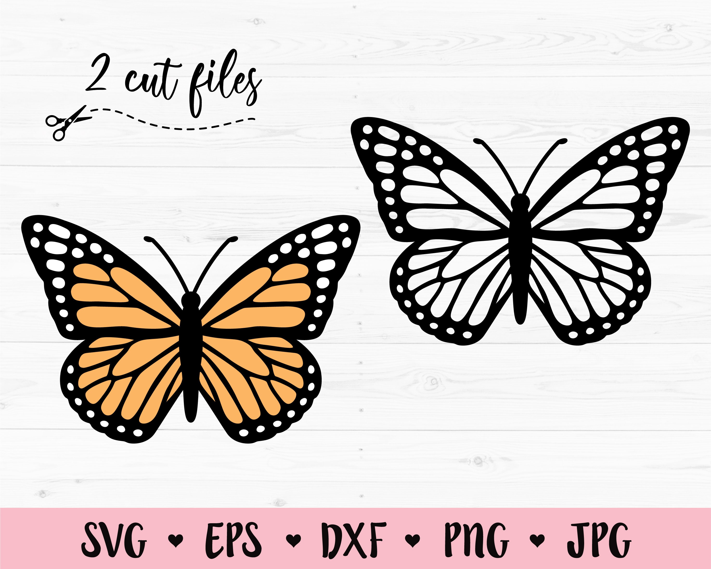 Download Butterfly SVG Monarch Butterfly cut file Butterflies ...