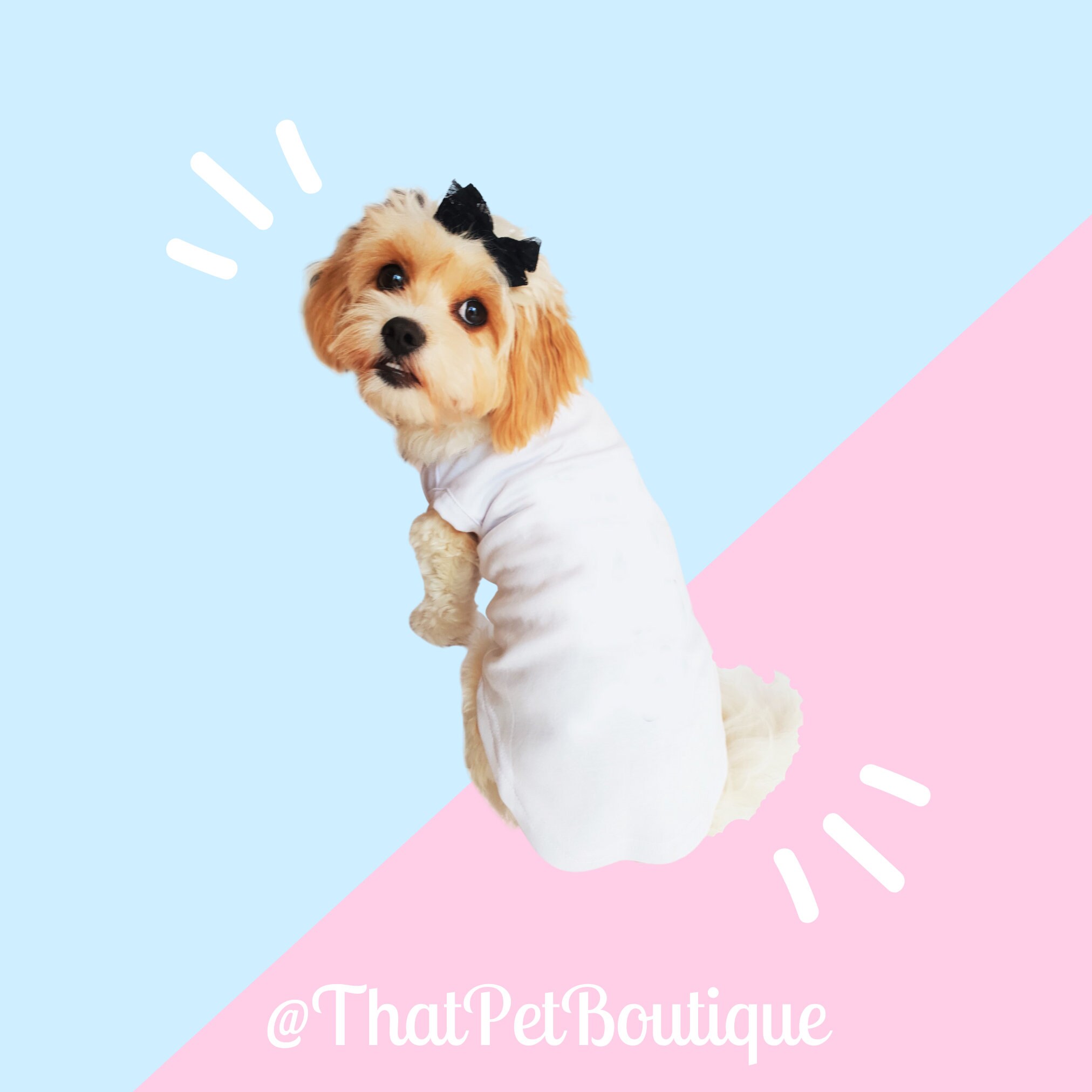 Custom Dog T Shirt Personalized Dog Clothing With Your Dogs Etsy UK